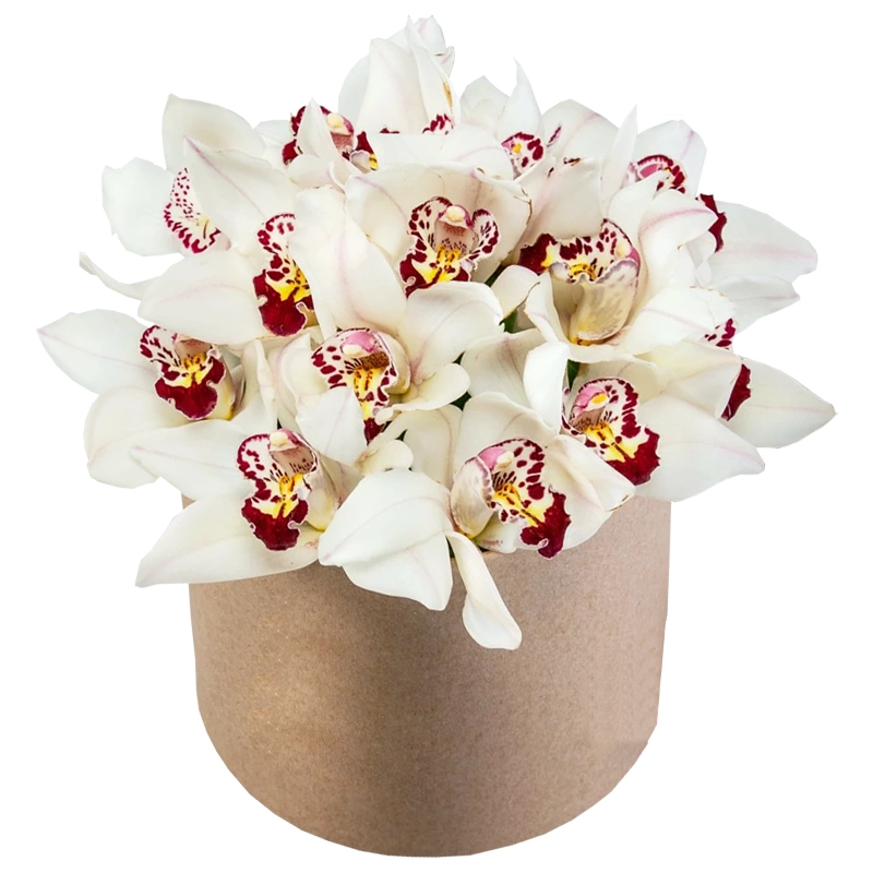 Композиция из 15 белых орхидей