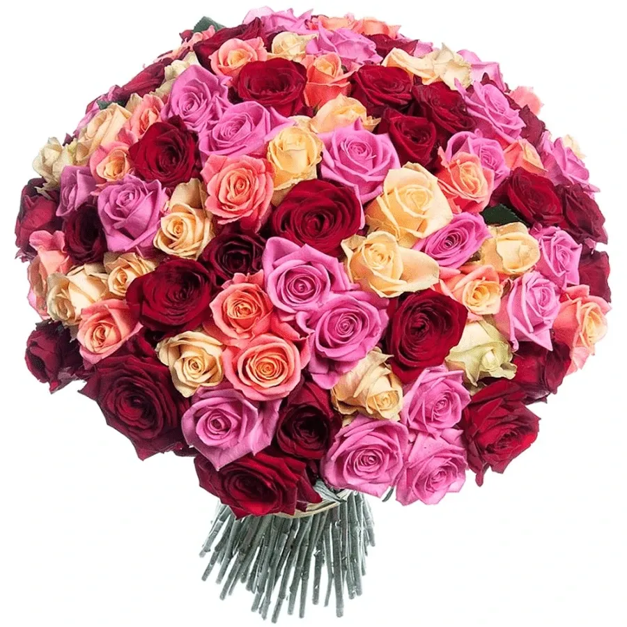 Розы Россия микс №1